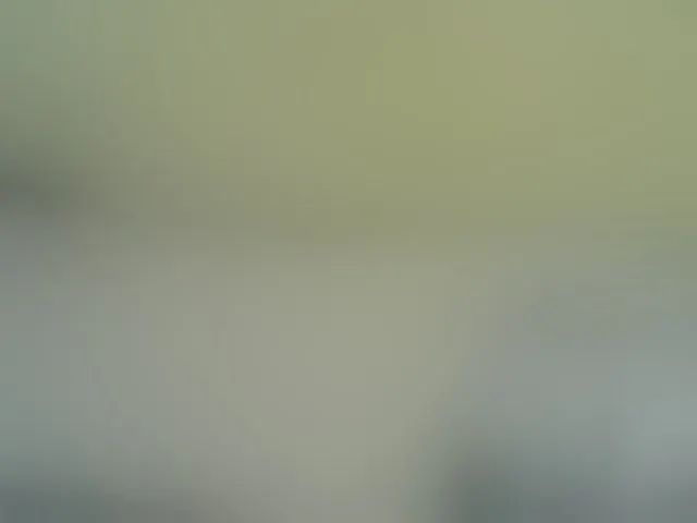 Live sex webcam photo for Cute-nina #292855755