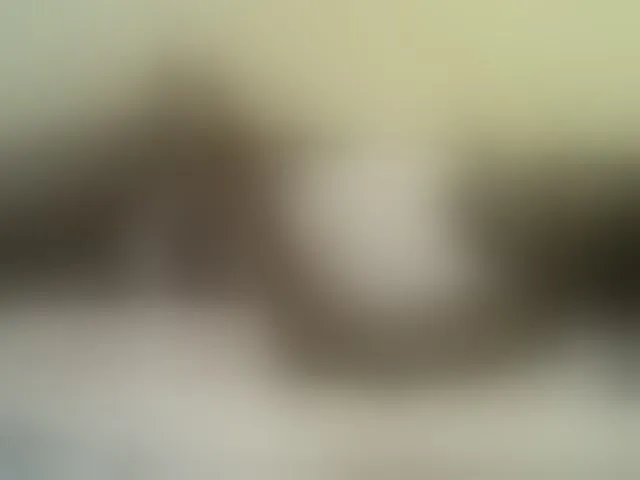 Live sex webcam photo for Cute-nina #292859414
