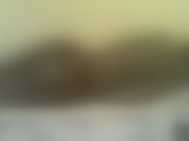 Live sex webcam photo for Cute-nina #293106234