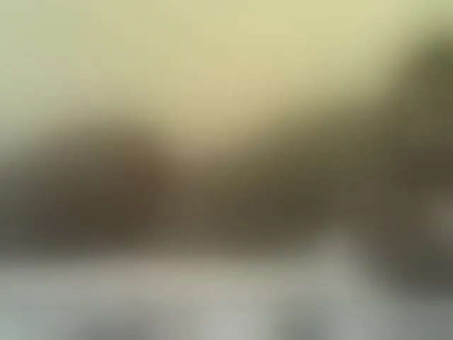 Live sex webcam photo for Cute-nina #293108115