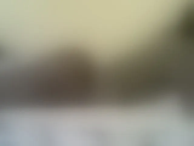 Live sex webcam photo for Cute-nina #293110040