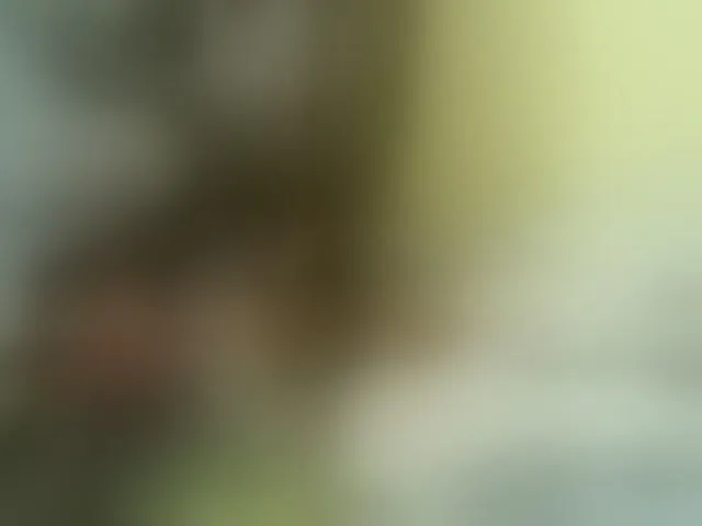 Live sex webcam photo for Cute-nina #293258072