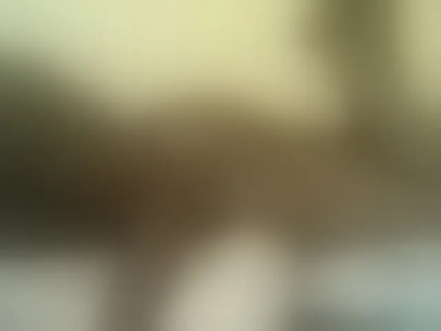 Live sex webcam photo for Cute-nina #293265943