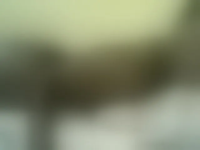 Live sex webcam photo for Cute-nina #293283321