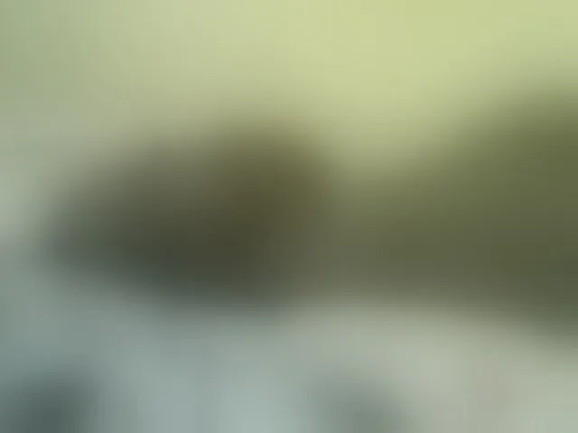 Live sex webcam photo for Cute-nina #293376525