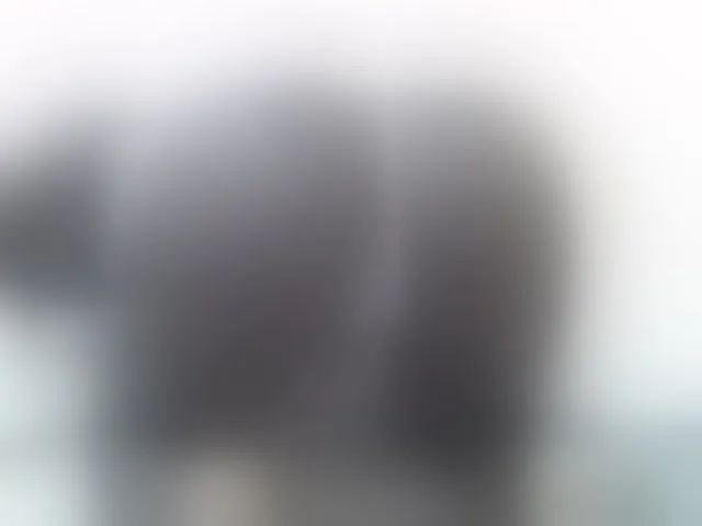 Live sex webcam photo for Cute-nina #293693856