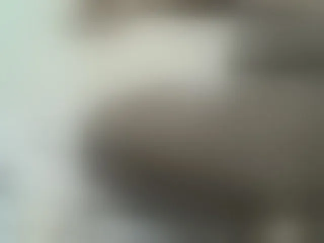 Live sex webcam photo for Cute-nina #293799432