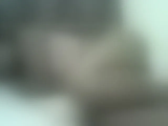 Live sex webcam photo for Cute-nina #293861231