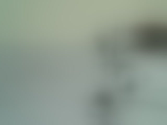 Live sex webcam photo for Cute-nina #294031827