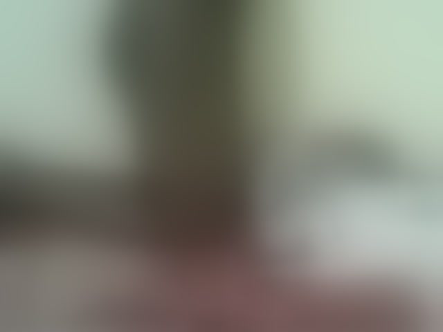 Live sex webcam photo for Cute-nina #294045776