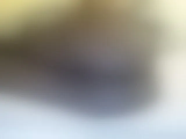 Live sex webcam photo for Cute-vee #293043944