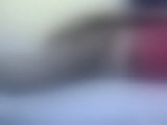 Live sex webcam photo for Cute-vee #293216137