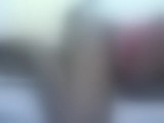 Live sex webcam photo for Cute-vee #293766021
