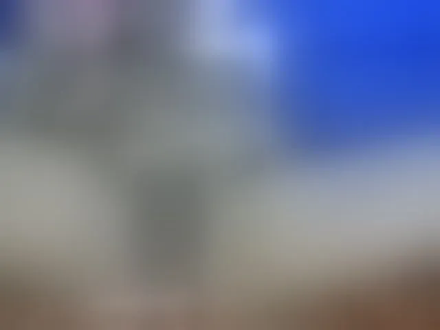 Live sex webcam photo for Cuteallianah #291068477