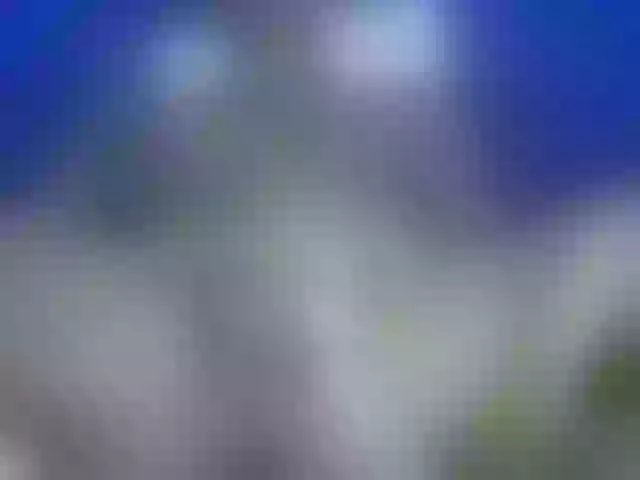 Live sex webcam photo for Cuteallianah #291269858