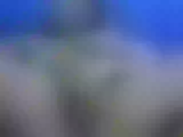 Live sex webcam photo for Cuteallianah #291456171