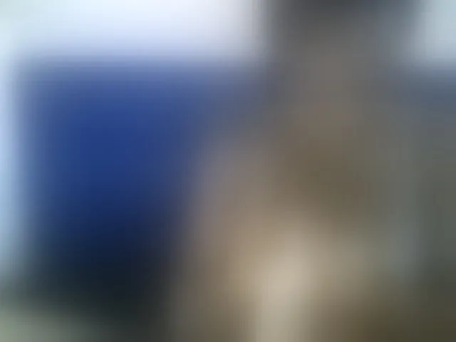 Live sex webcam photo for Cuteallianah #291963780