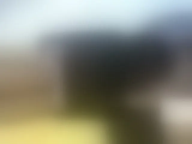 Live sex webcam photo for Cuteallianah #292537021