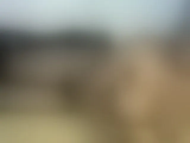 Live sex webcam photo for Cuteallianah #292597112