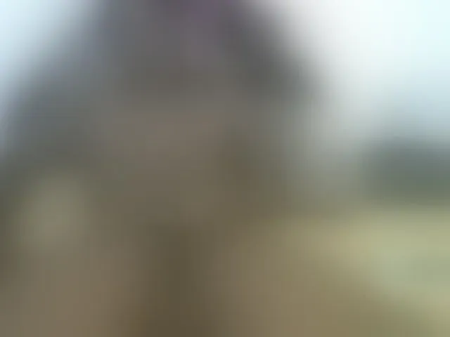 Live sex webcam photo for Cuteallianah #292617424