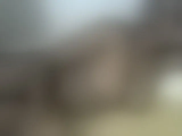 Live sex webcam photo for Cuteallianah #293024548