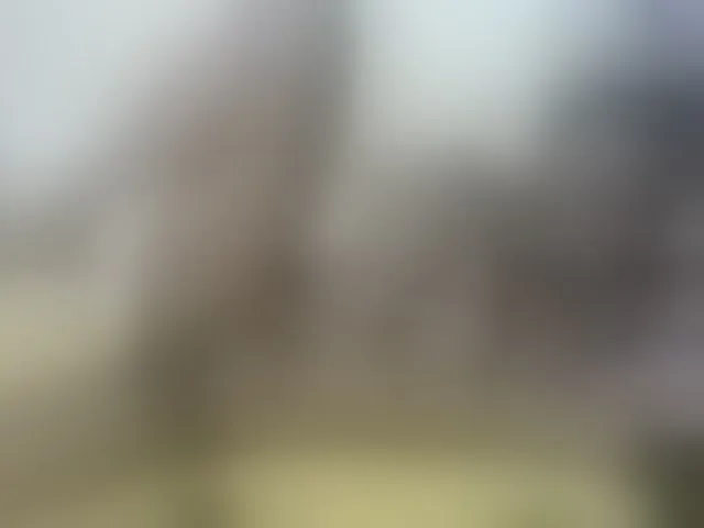 Live sex webcam photo for Cuteallianah #293167780