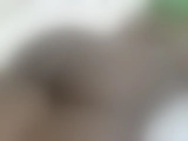 Live sex webcam photo for Cuteavril #290981470