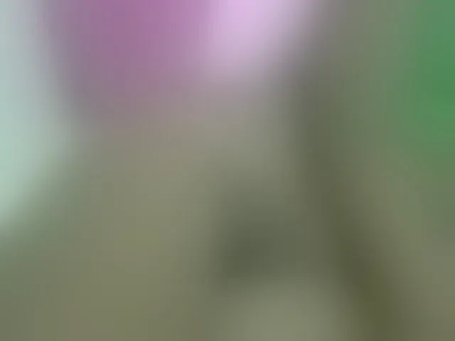 Live sex webcam photo for Cuteavril #290991332