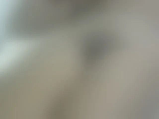 Live sex webcam photo for Cuteavril #290992449