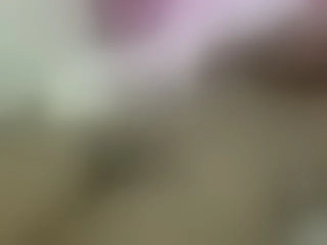 Live sex webcam photo for Cuteavril #291018030