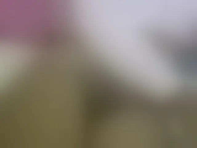 Live sex webcam photo for Cuteavril #291021301