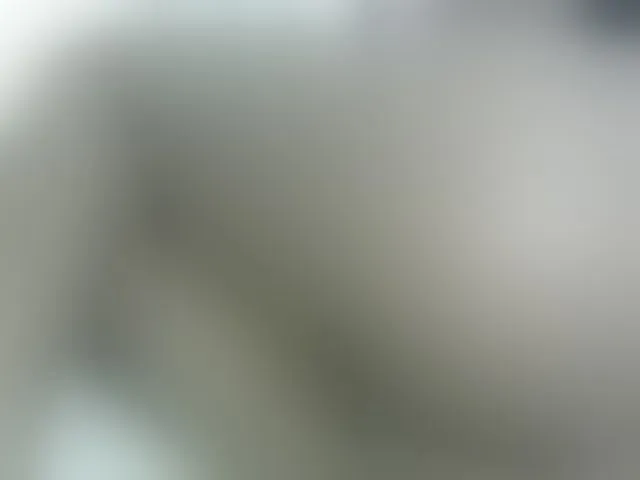 Live sex webcam photo for Cuteavril #291054653