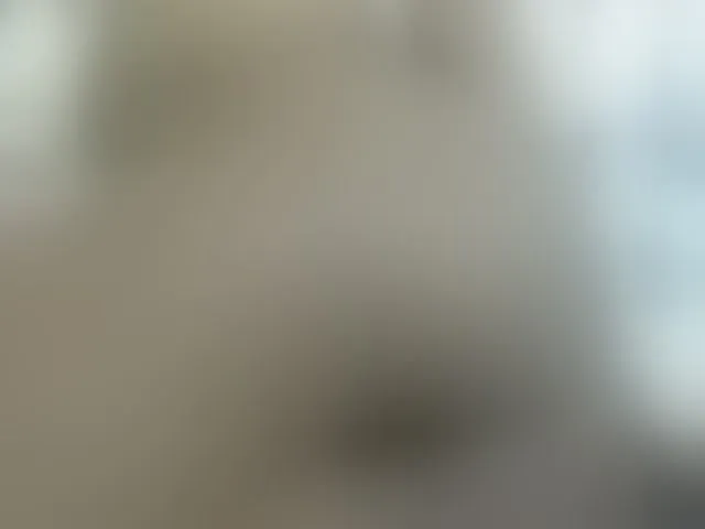 Live sex webcam photo for Cuteavril #291188290