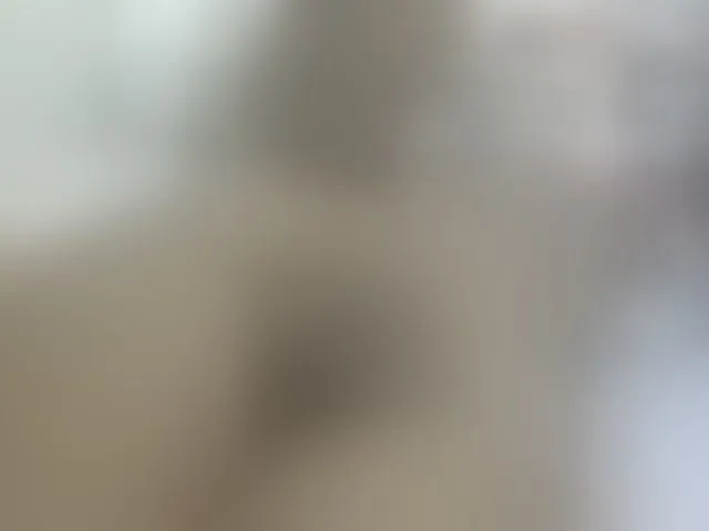 Live sex webcam photo for Cuteavril #291263658