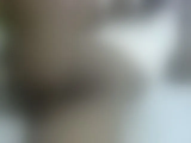 Live sex webcam photo for Cuteavril #291299238