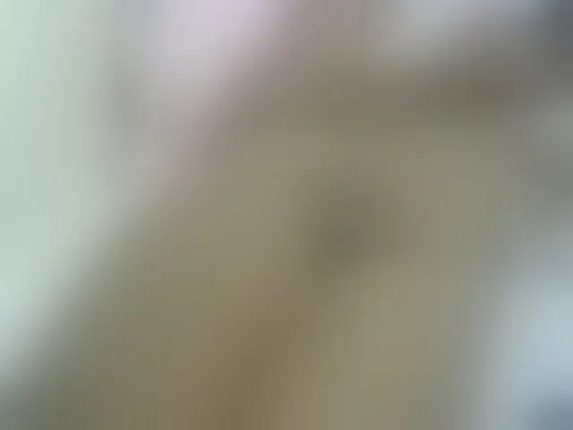 Live sex webcam photo for Cuteavril #291417585