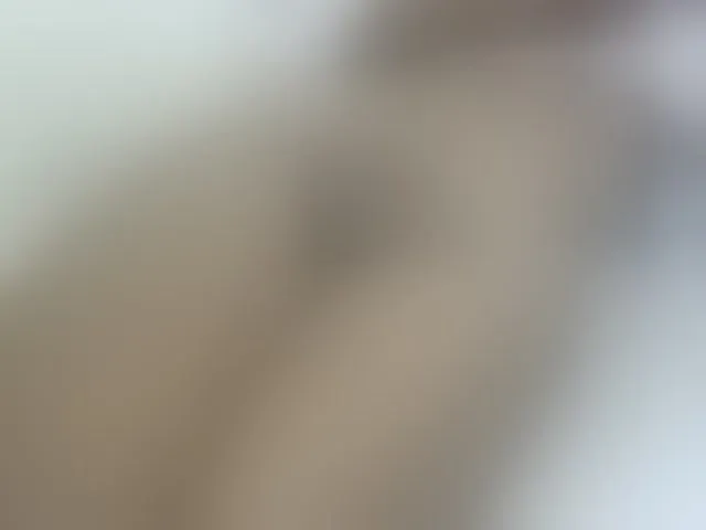 Live sex webcam photo for Cuteavril #293569553