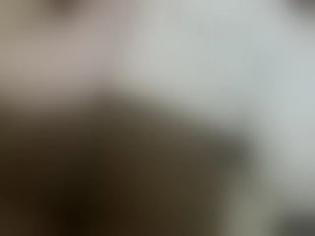 Live sex webcam photo for Cuteavril #293574828