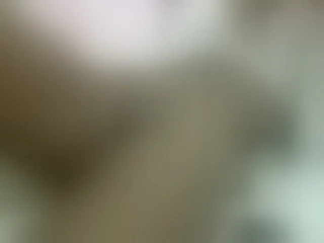 Live sex webcam photo for Cuteavril #293586891