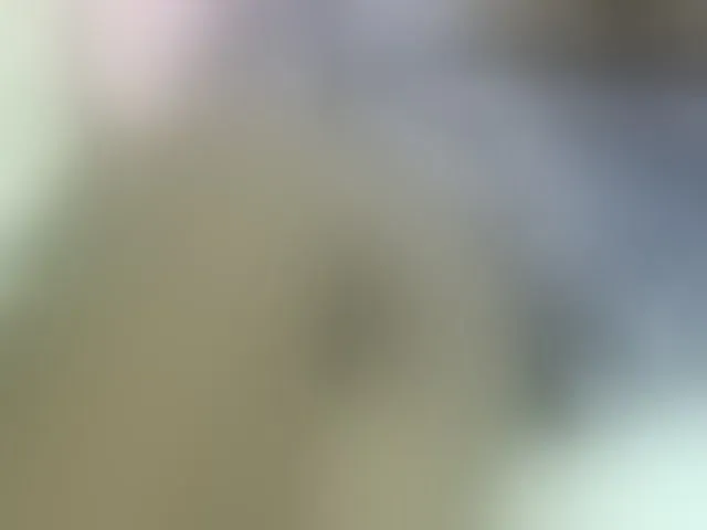 Live sex webcam photo for Cuteavril #293625446