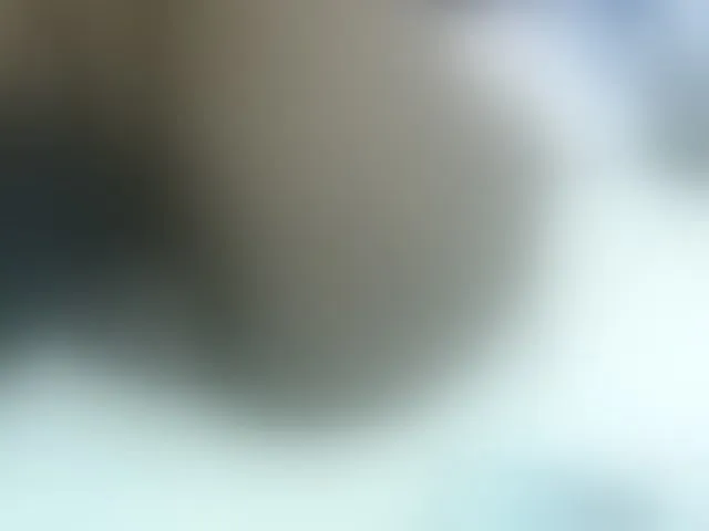 Live sex webcam photo for Cuteavril #293633312