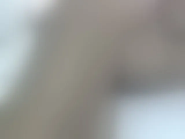 Live sex webcam photo for Cuteavril #293680972