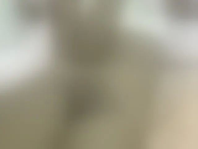 Live sex webcam photo for Cuteavril #293707025