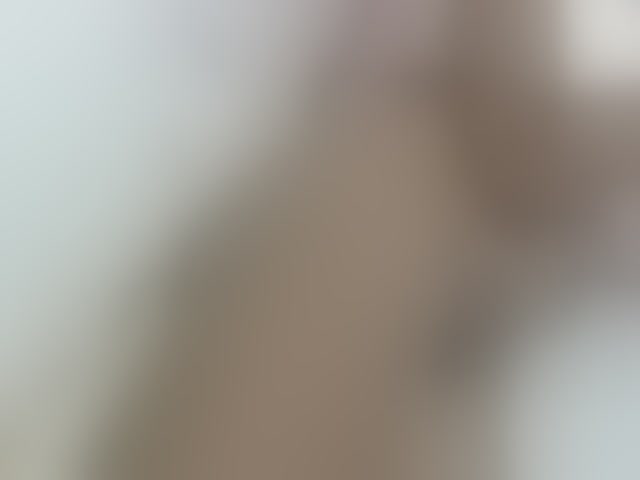 Live sex webcam photo for Cuteavril #293748012