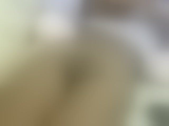 Live sex webcam photo for Cuteavril #293752500