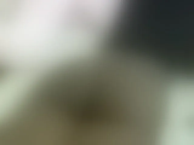 Live sex webcam photo for Cuteavril #293765853