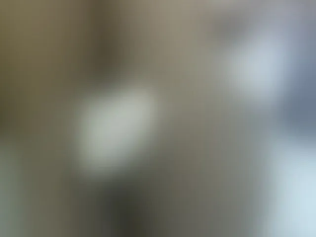 Live sex webcam photo for Cuteavril #293776635