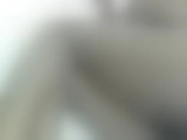 Live sex webcam photo for Cuteavril #293791086