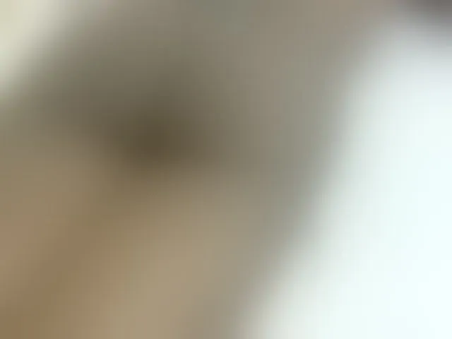 Live sex webcam photo for Cuteavril #293792453