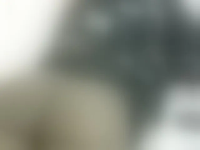 Live sex webcam photo for Cuteavril #293807542